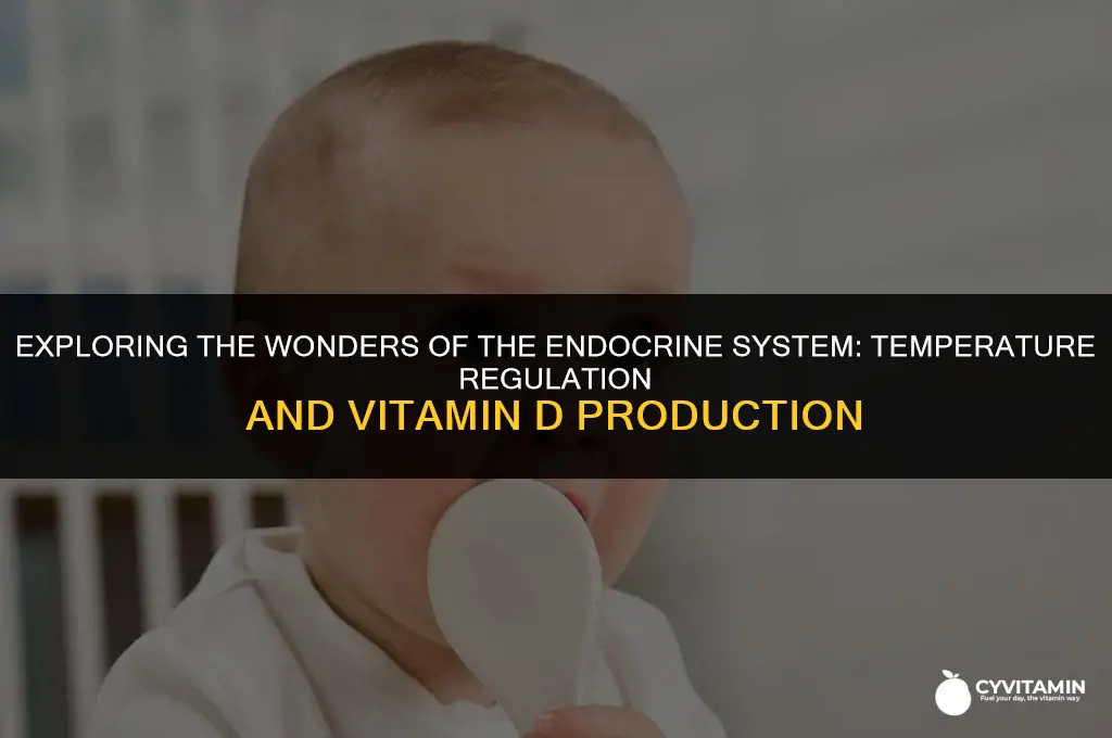 which body system regulates temperature and produces vitamin d