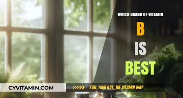 Unlocking the Best: A Guide to Top Vitamin B Brands