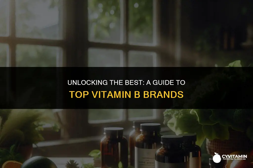 which brand of vitamin b is best
