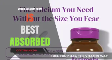 Best Absorbed Calcium Forms: Unlocking Optimal Bone Health Benefits