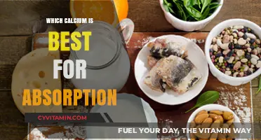 Best Calcium for Absorption: Types, Benefits, and Optimal Choices