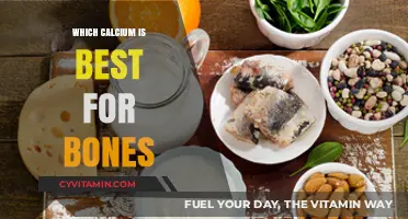 Best Calcium Sources and Supplements for Strong, Healthy Bones