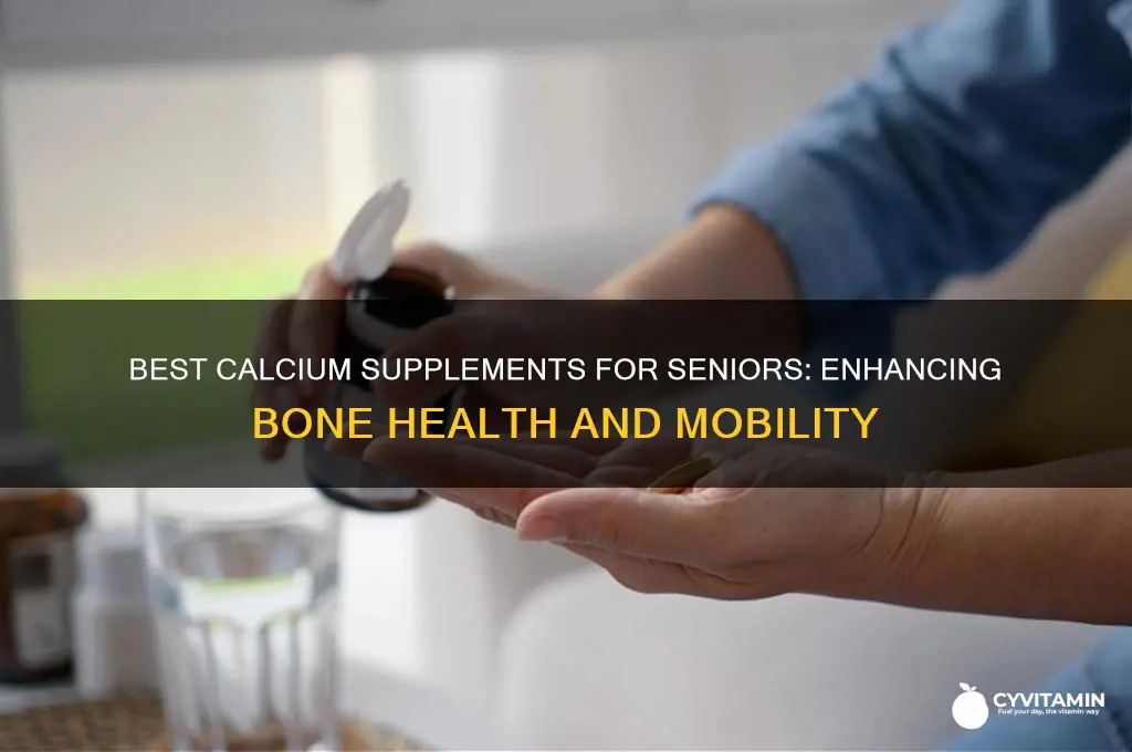 which calcium is best for seniors