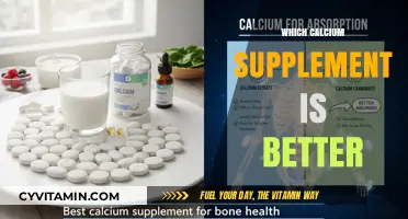 Calcium Supplement Showdown: Which One Reigns Supreme for Bone Health?