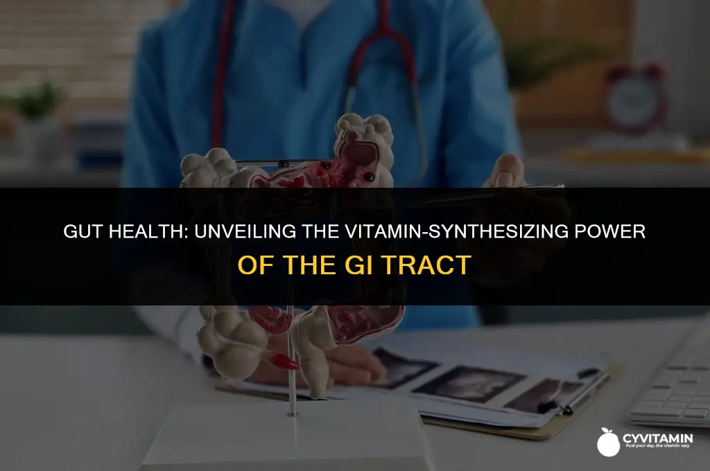 which component of the gastrointestinal system can synthesize certain vitamins