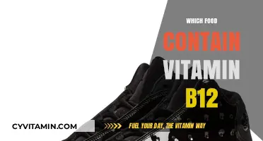 Boost Your B12: A Guide to Vitamin-Rich Foods