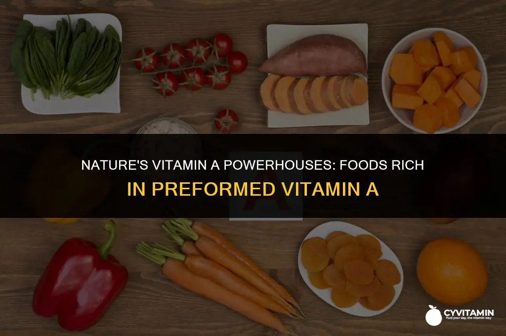 which food is a source of preformed vitamin a