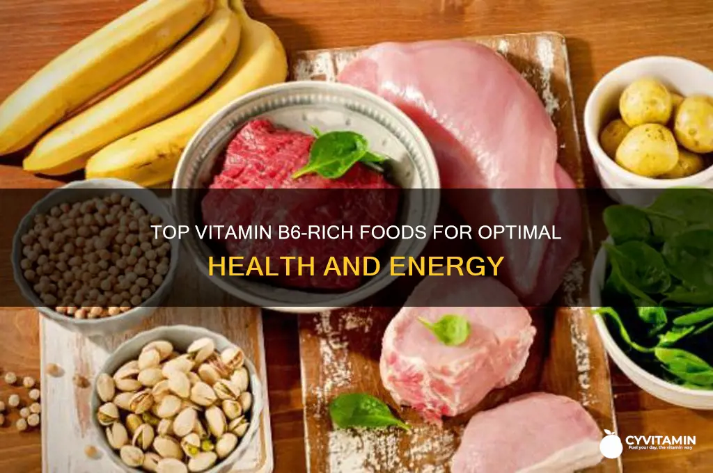 which food is the best source of vitamin b6