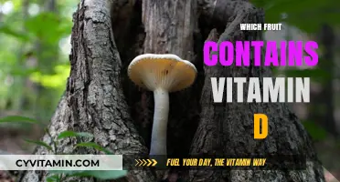 Sun-Kissed Nutrition: Unveiling the Fruit Rich in Vitamin D