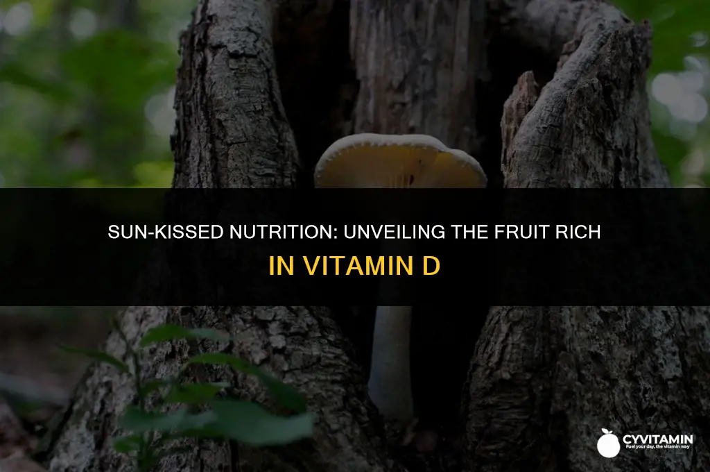 which fruit contains vitamin d