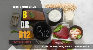Unlocking the Benefits: Vitamin B vs. B12 for Optimal Health