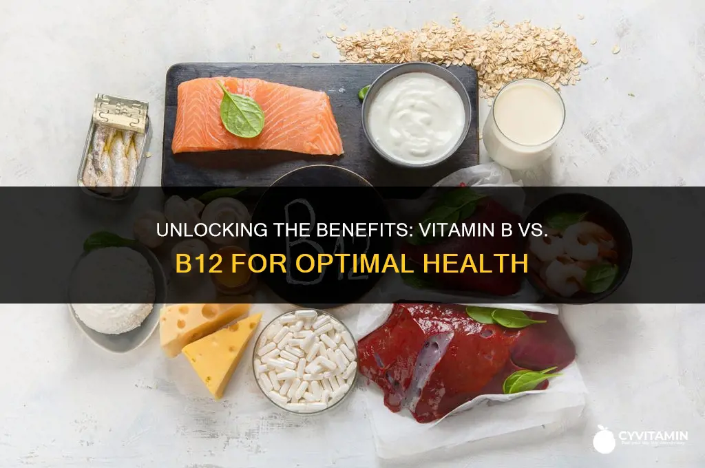 which is better vitamin b or b12