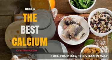 Choosing the Best Calcium Supplement: A Comprehensive Guide to Optimal Health
