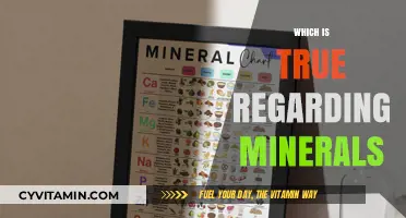Unveiling the Truths: Essential Facts About Minerals You Need to Know