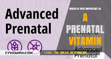Essential Prenatal Vitamins: Unlocking the Key to a Healthy Pregnancy