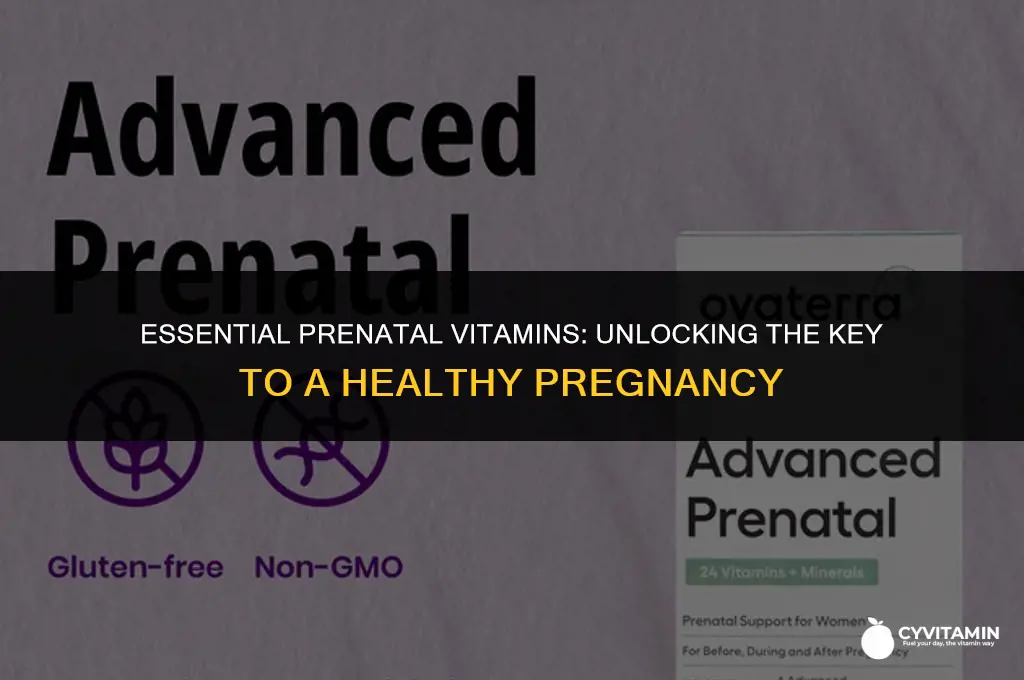 which is very important as a prenatal vitamin