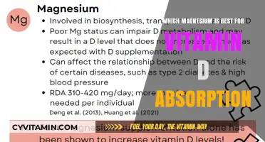 Best Magnesium Types to Enhance Vitamin D Absorption Effectively