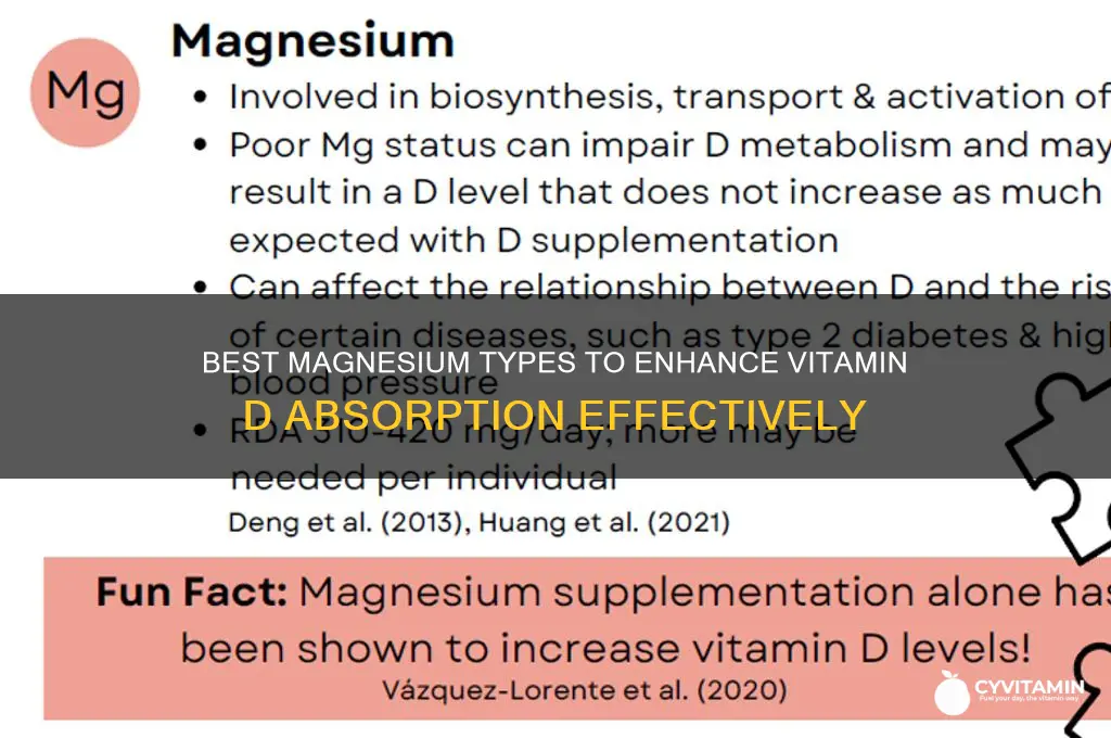 which magnesium is best for vitamin d absorption
