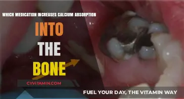 Boosting Bone Health: Medications That Enhance Calcium Absorption
