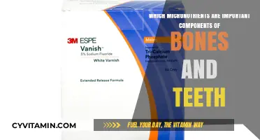 Building Strong Foundations: Essential Micronutrients for Bone and Dental Health