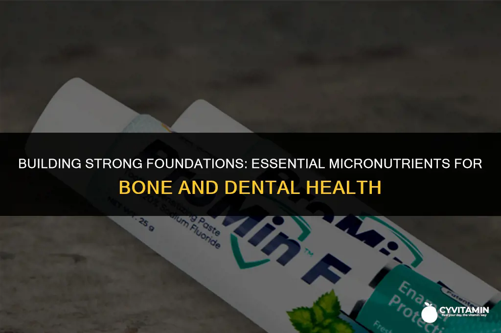 which micronutrients are important components of bones and teeth