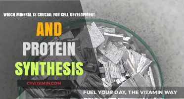 Unlocking Cellular Potential: The Vital Role of [Mineral] in Development and Protein Synthesis