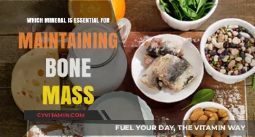 Unlocking Bone Health: The Vital Role of Calcium in Your Diet