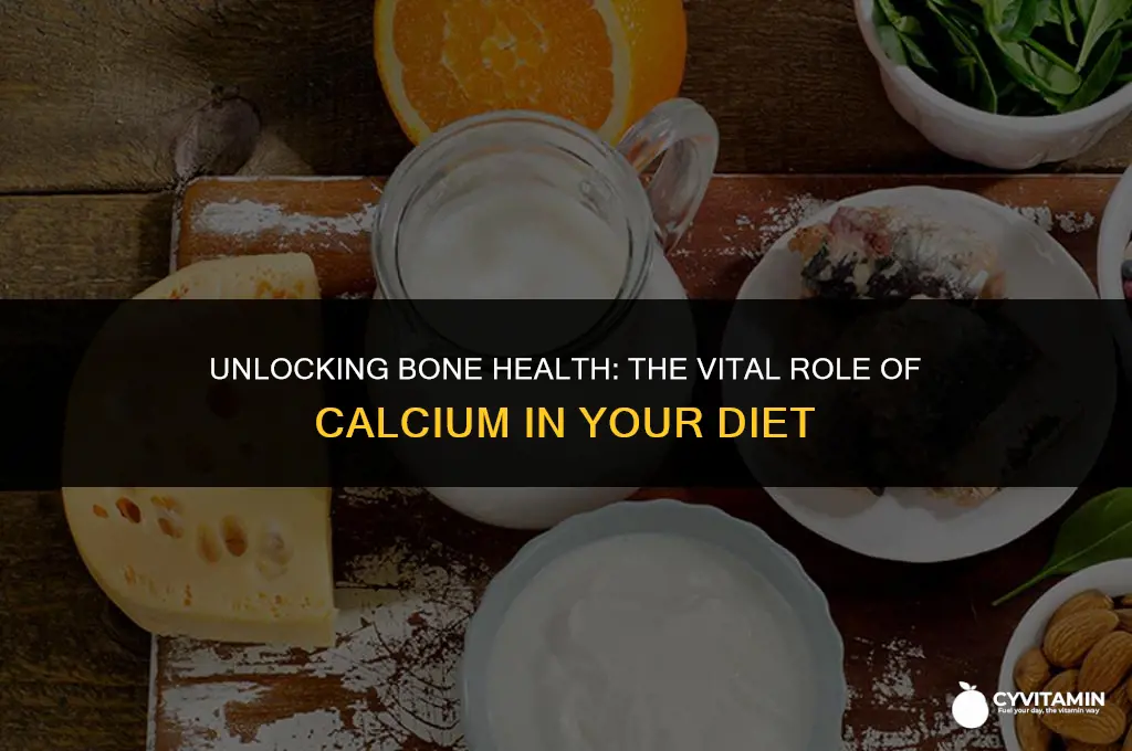 which mineral is essential for maintaining bone mass