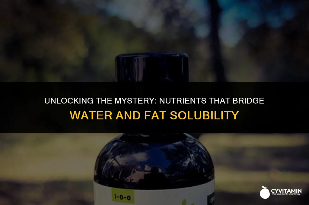 which nutrients are sometimes water-soluble and sometimes fat-soluble