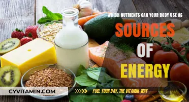 Fuel Your Body: Nutrients That Power Your Energy Levels