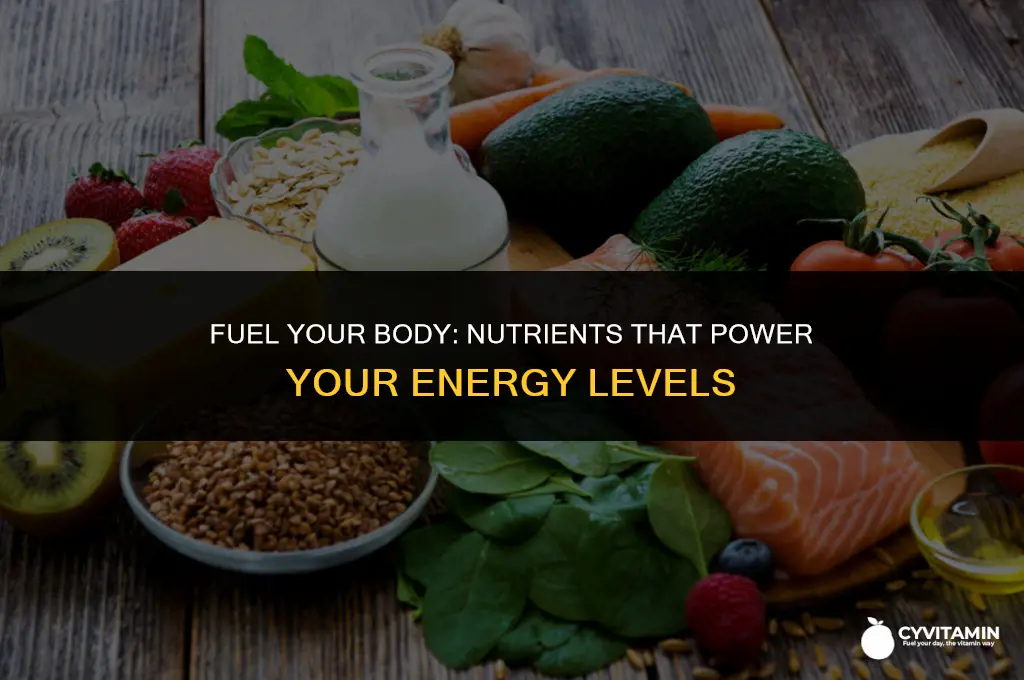which nutrients can your body use as sources of energy