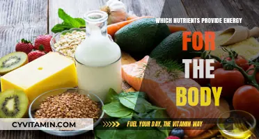 Fuel Your Body: Essential Nutrients for Sustained Energy