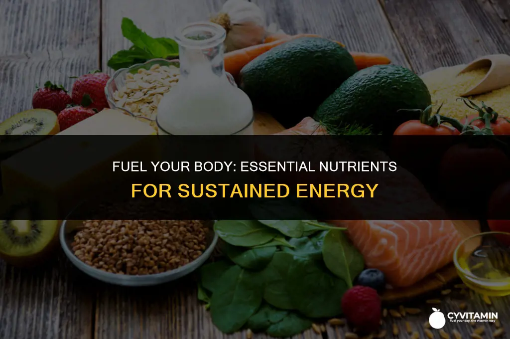which nutrients provide energy for the body