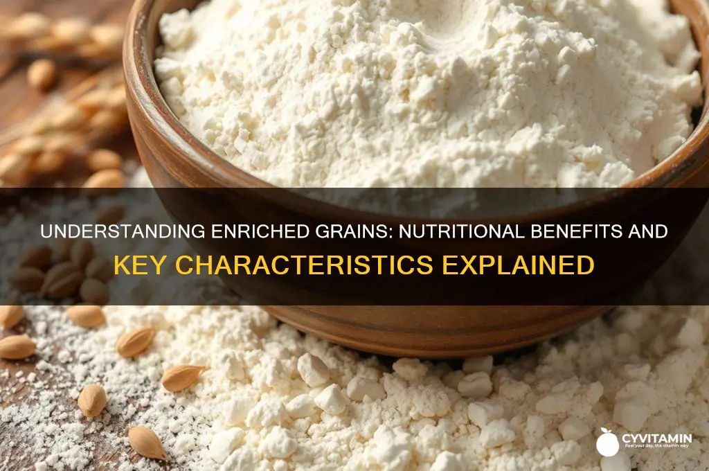 which of the following best describes enriched grains