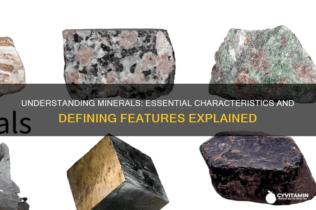 which of the following best describes minerals