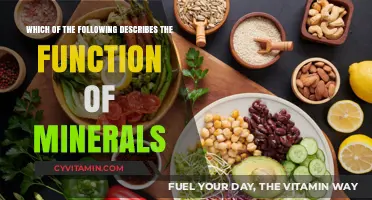 Unveiling the Vital Role of Minerals in Our Bodies