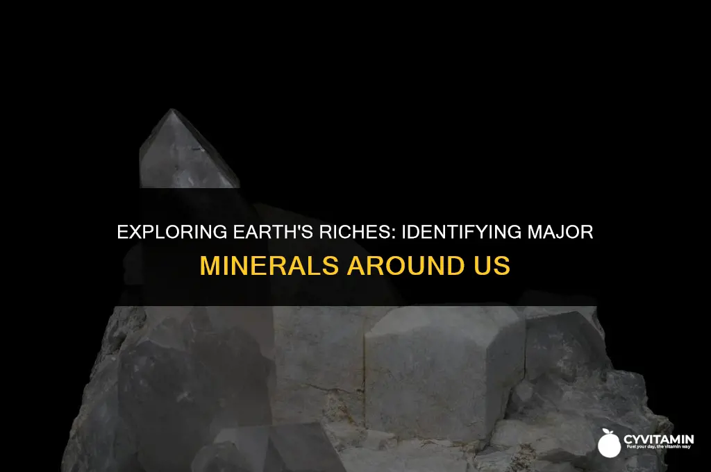 which of the following is a major mineral