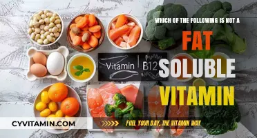 Decoding Nutrition: The Water-Soluble Vitamin You Might Be Missing