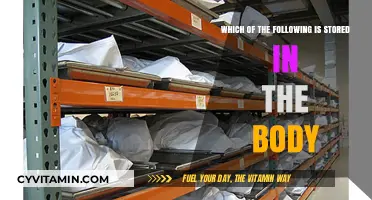 Exploring the Human Body: What's Stored Within?