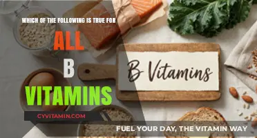 Unlocking the Power of B Vitamins: A Comprehensive Guide
