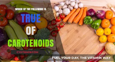 Unveiling the Vibrant Truths About Carotenoids: Nature's Colorful Nutrients