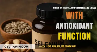 Unveiling the Antioxidant Power of Essential Minerals