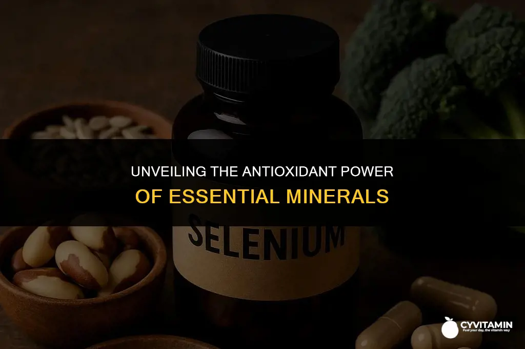 which of the following minerals is linked with antioxidant function