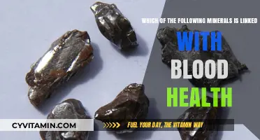 Essential Minerals for Blood Health: Unveiling Nature's Lifeline