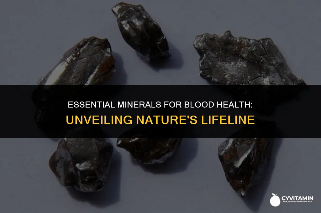 which of the following minerals is linked with blood health