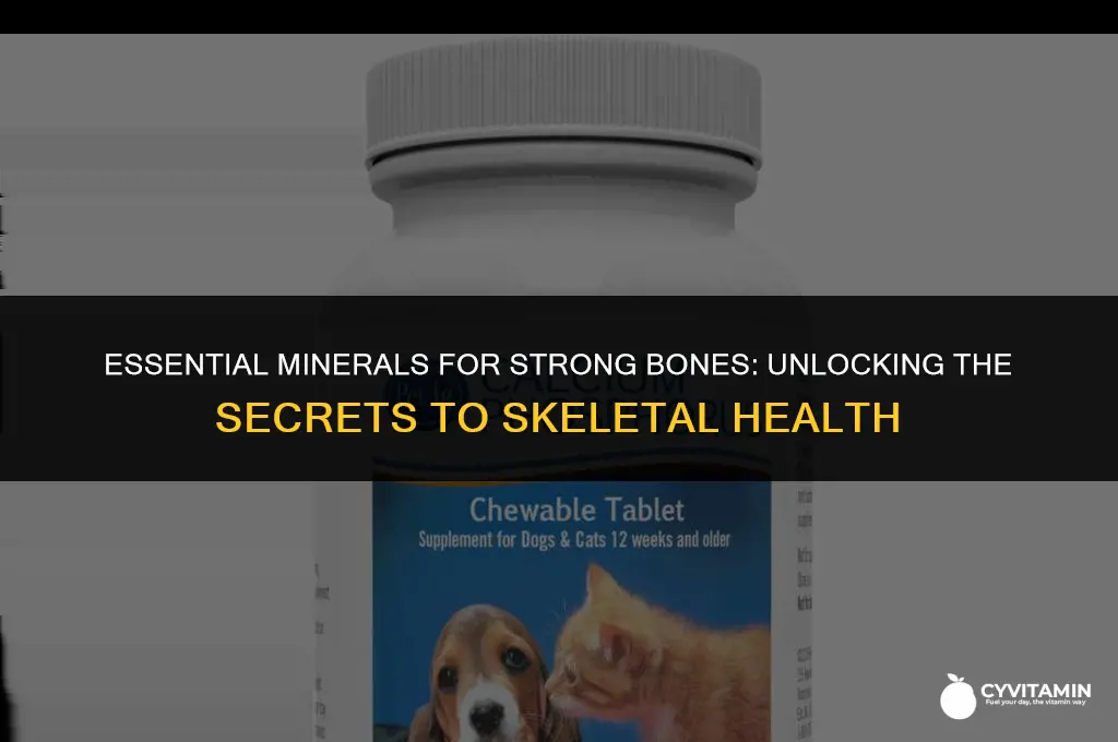 which of the following minerals is linked with bone health