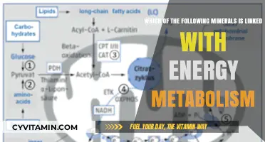 Unlocking Energy: The Mineral Connection You Need to Know