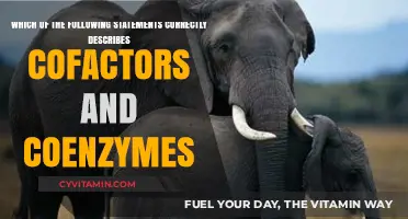 Unlocking the Secrets of Cofactors and Coenzymes: A Comprehensive Guide