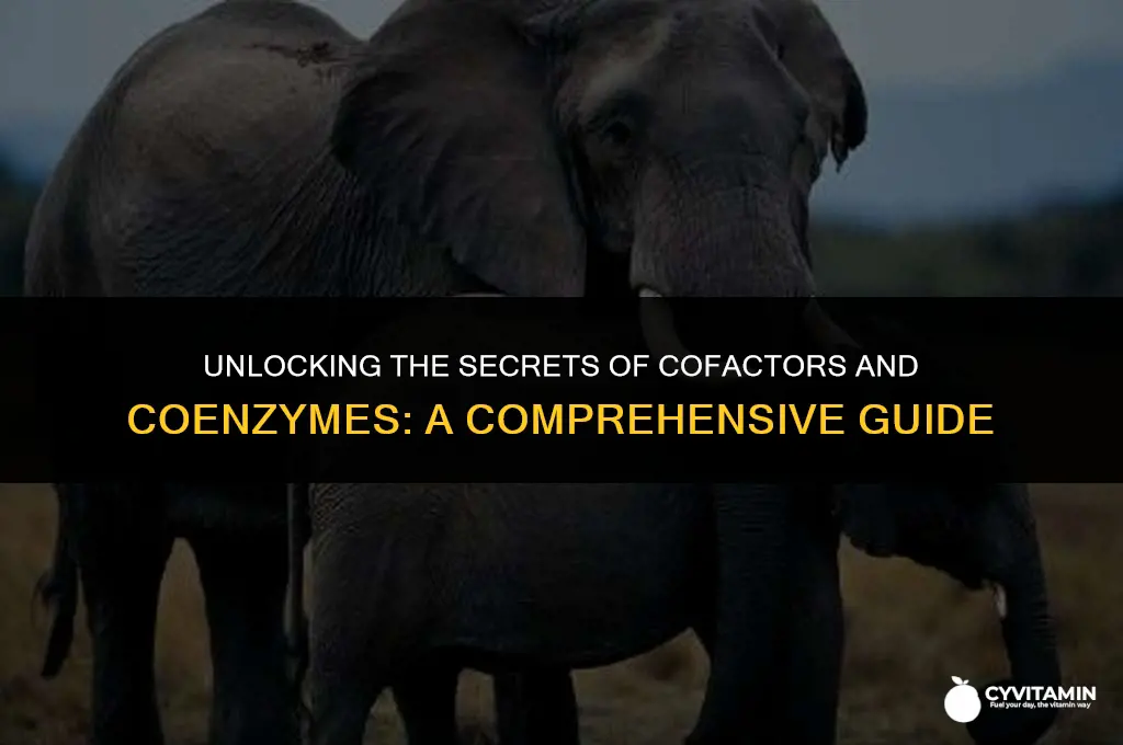 which of the following statements correctly describes cofactors and coenzymes
