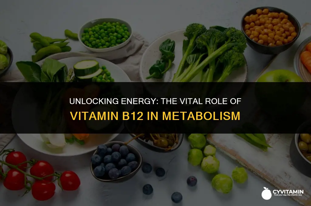 which of the following vitamins is linked with energy metabolism